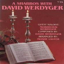 A Shabbos With David Werdyger